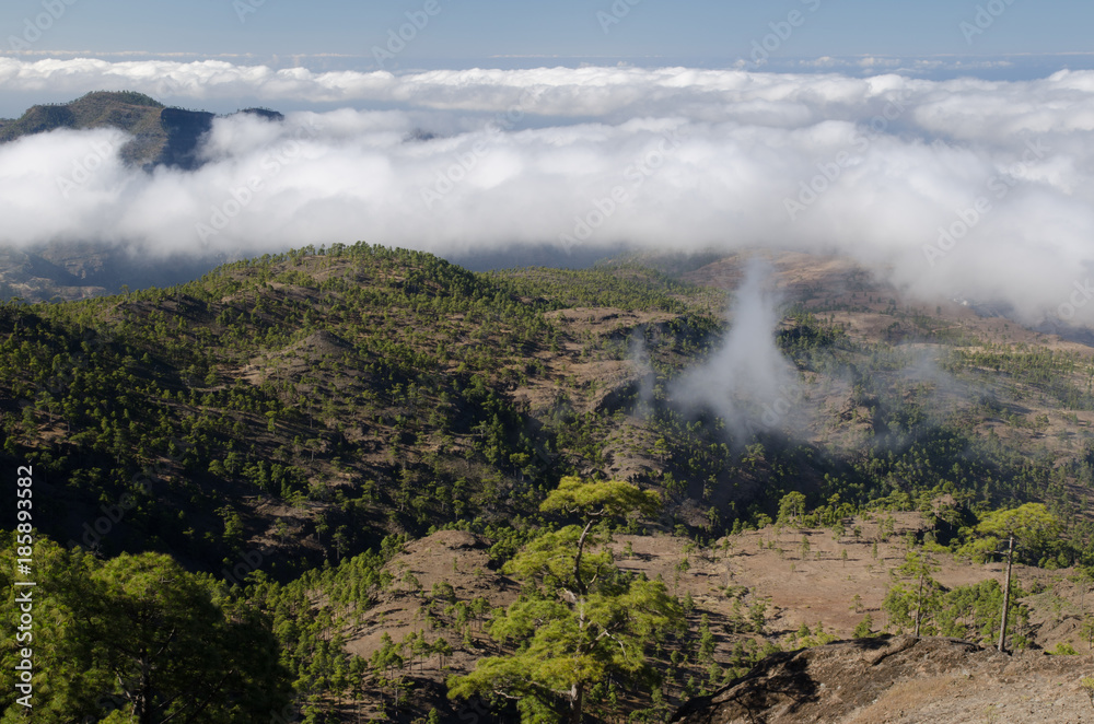 Integral Natural Reserve of Inagua and Tauro mountain in the background. Gran Canaria. Canary Islands. Spain.