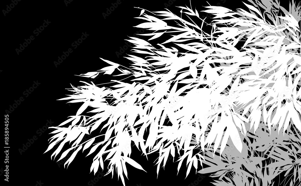Fototapeta premium grey and white lush bamboo plants
