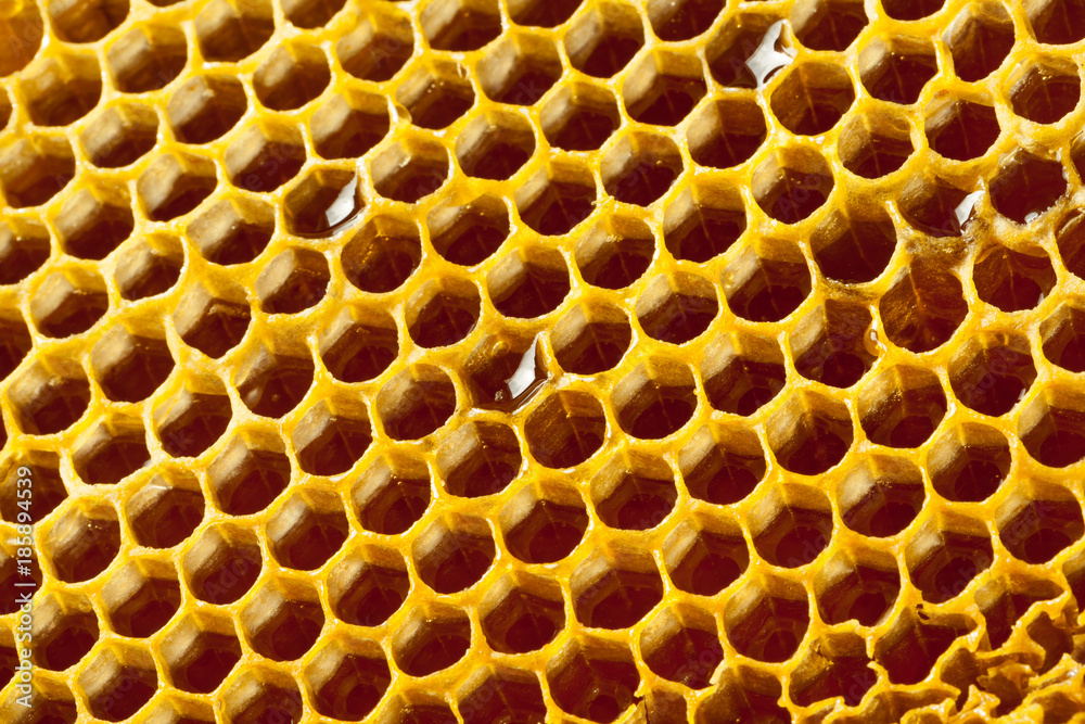 Close up studio shot of organic honey - healthy food concept Close up studio shot of organic honey - healthy food concept