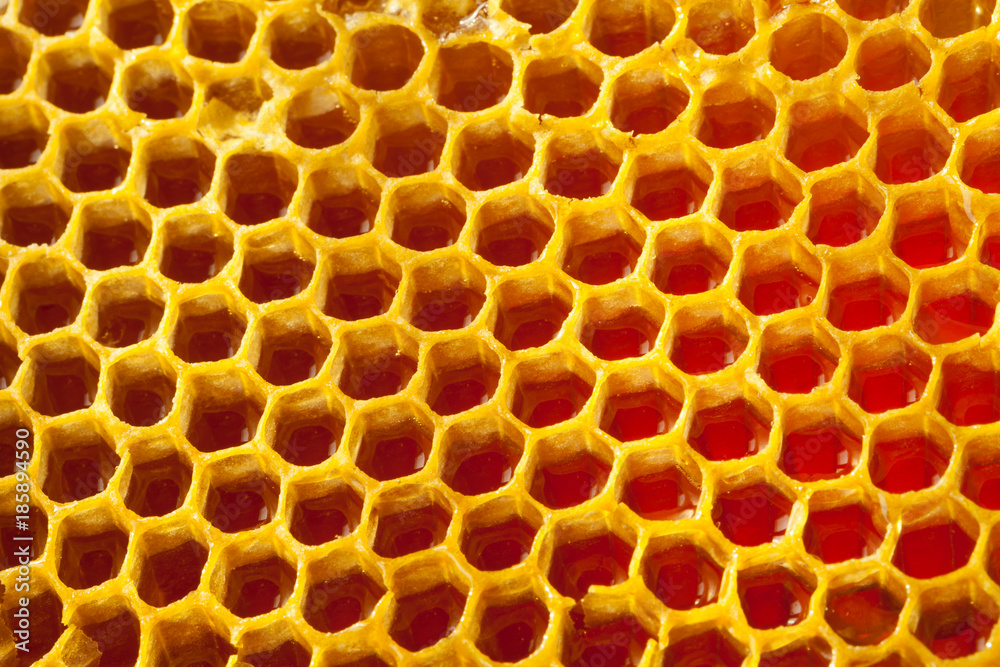 Well-being concept - organic honey comb - close up shot Well-being concept - organic honey comb - close up shot