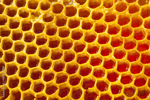 Well-being concept - organic honey comb - close up shot