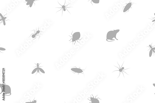 Web banner with insects