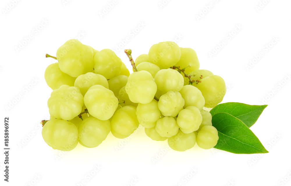 star gooseberry on white background star gooseberry on white background