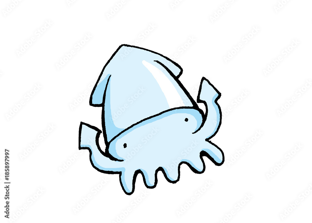 Fototapeta premium イカ