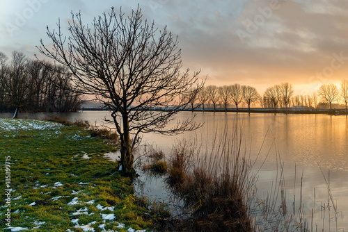 Bare tree silhouette at the banks of a lake © Ruud Morijn