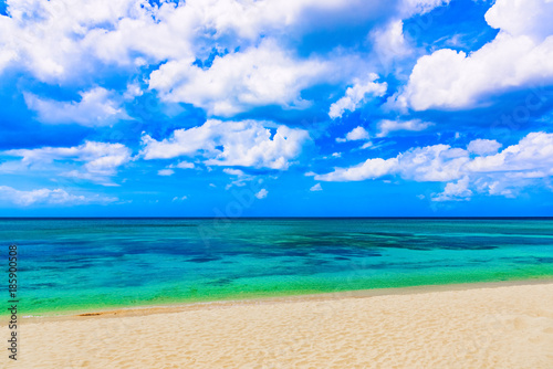 magical paradise beach of the Caribbean sea © dbrus