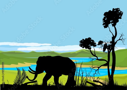 Elephant and trees silhouettes, green savannah on background, wildlife vecror scene photo