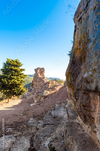 View of the ruins of the castle of Siuran, Tarragona, Catalunya, Spain. Copy space for text. Vertical.