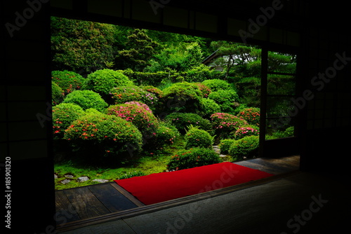 京都安楽寺のサツキ	