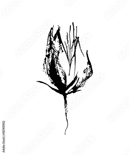 Hand drawn brush paint flower painted by ink. Vector stylized decorative imperfec silhouette. Grunge style. Black isolated on white background.