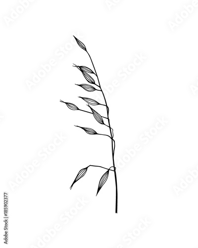 Hand drawn meadow grass