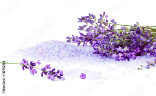 Lavender with sea salt isolated on white background