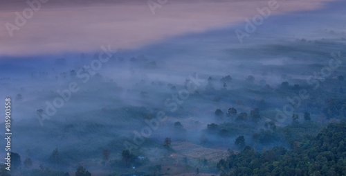 Pha-chom-mok  Landscape sea of mist on the mountain in Nongkhai province  Thailand.