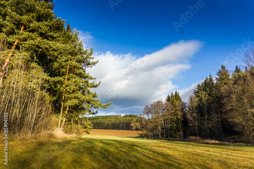 Autumn sunny landscape in windy weather. photo