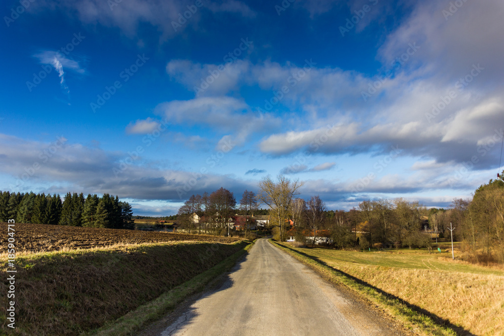 Fototapeta premium Autumn sunny landscape in windy weather.
