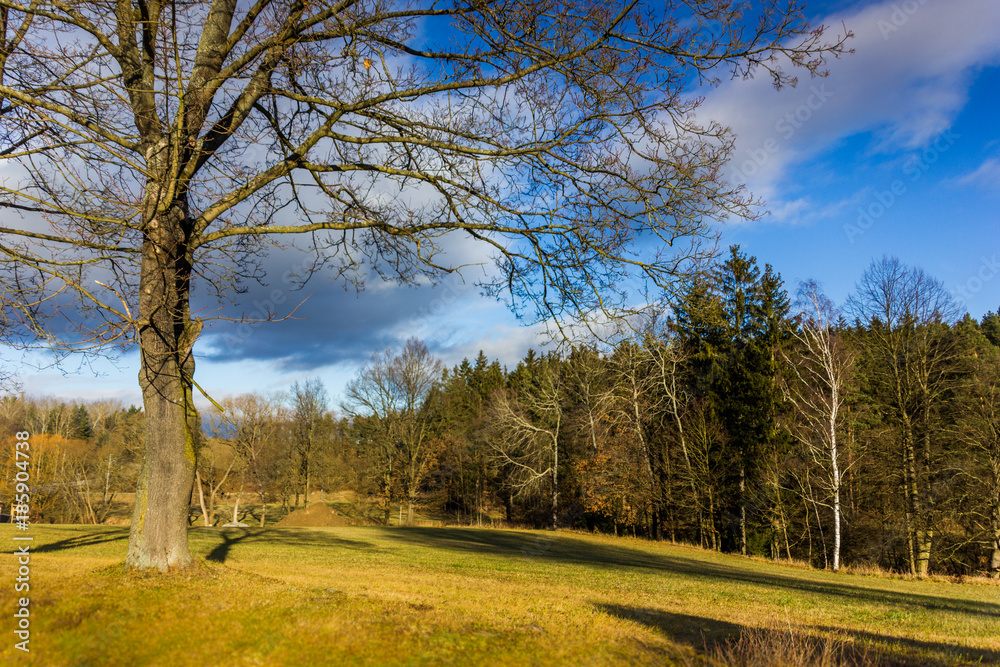 Autumn sunny landscape in windy weather. Autumn sunny landscape in windy weather.