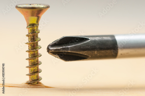 Obraz na plátně Wood screw in pine board, screwdriver close up shot isolated on white background