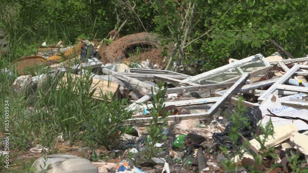 Dump garbage in woods Dump garbage in woods