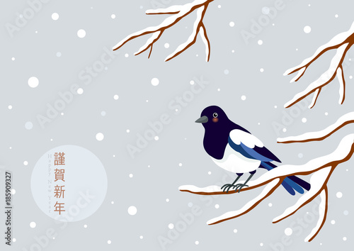 Magpie perching on a winter branch.Korean traditional Happy new year day.