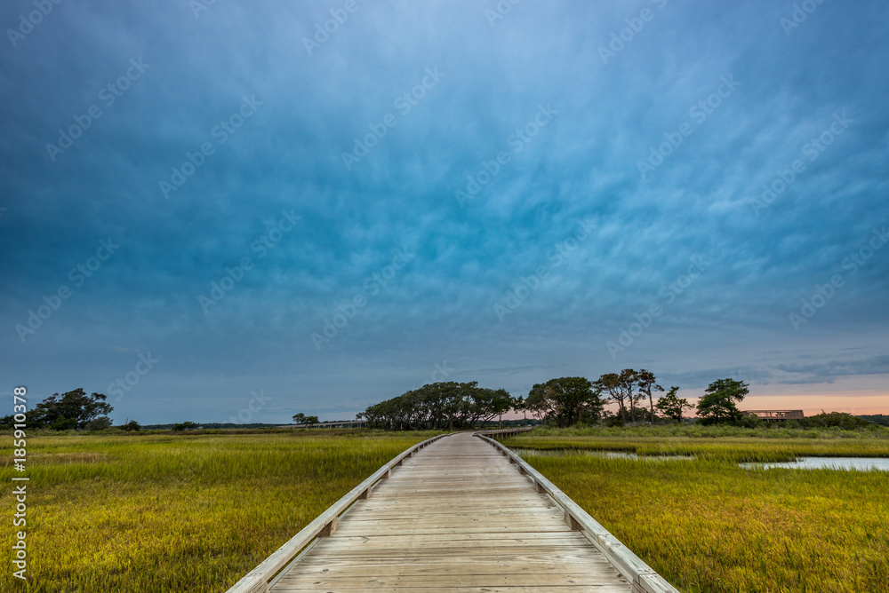 Obraz premium Wooden Boardwalk Through Marsh
