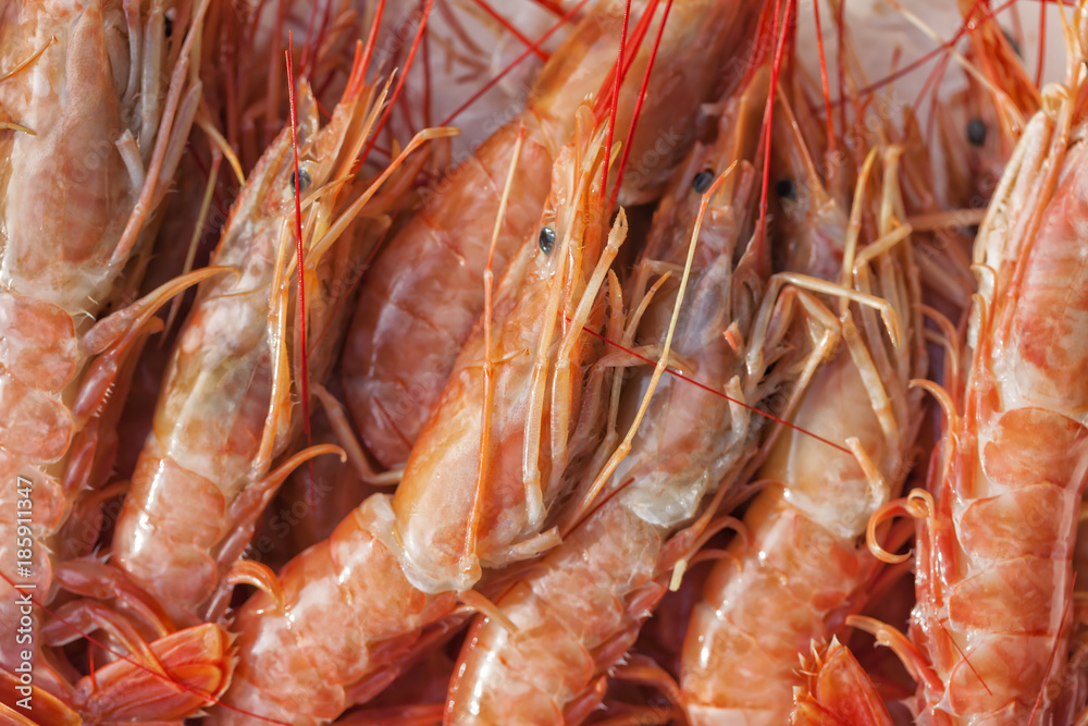 Lots of fresh prawns prepared to be cooked Lots of fresh prawns prepared to be cooked