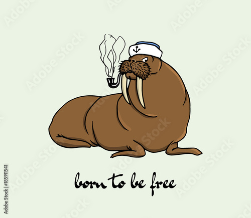 Hand drawn walrus
