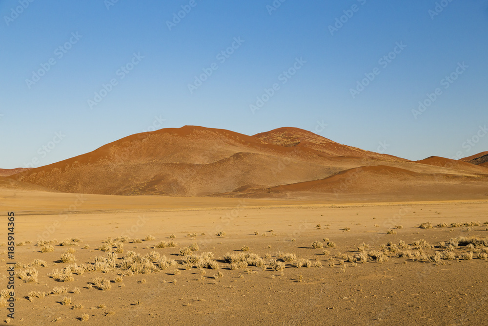 Sanddünen in Sossusvlei, Namibia, sand dunes in Sossusvlei, Namibia