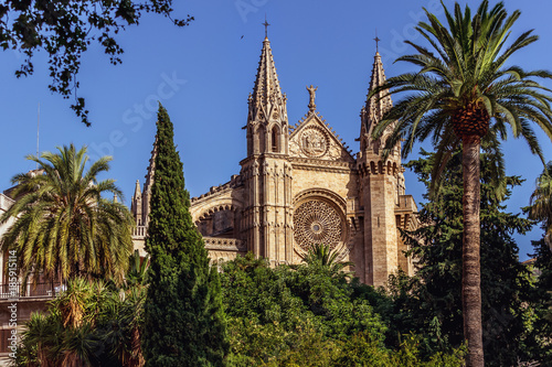 La Seu  Cathedral de Mallorca - Palma de Mallorca - Spain