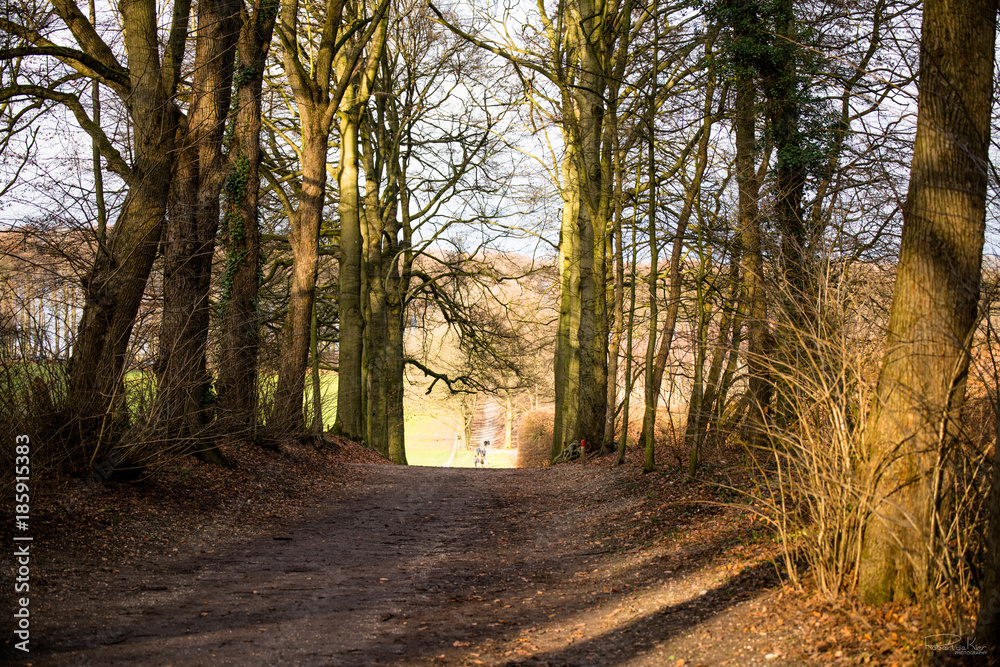 Obraz premium Het Geldersch landschap