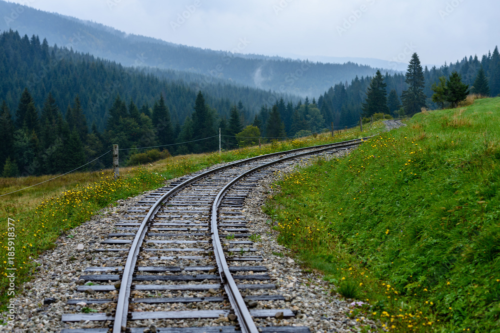 Fototapeta premium wavy railroad tracks in wet summer day in forest