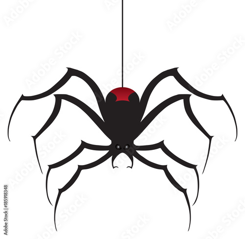 A black widow spider is descending using it's silk thread