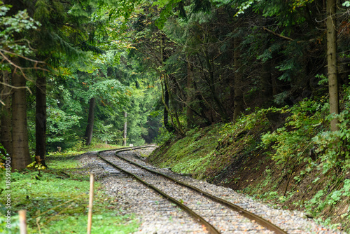 wavy railroad tracks in wet summer day in forest
