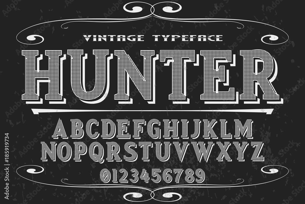 Font.alphabet.Script.Typeface handcrafted handwritten vector label ...