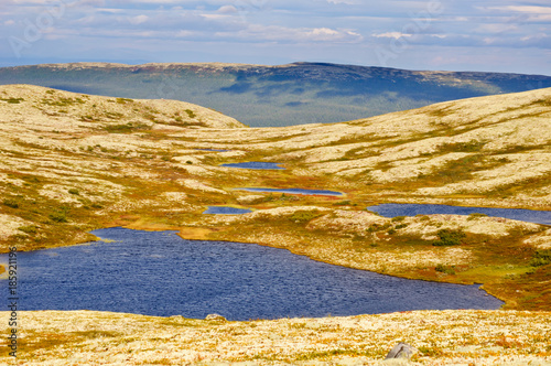Tundra landscape. Small lakes. Lichen spots everywhere