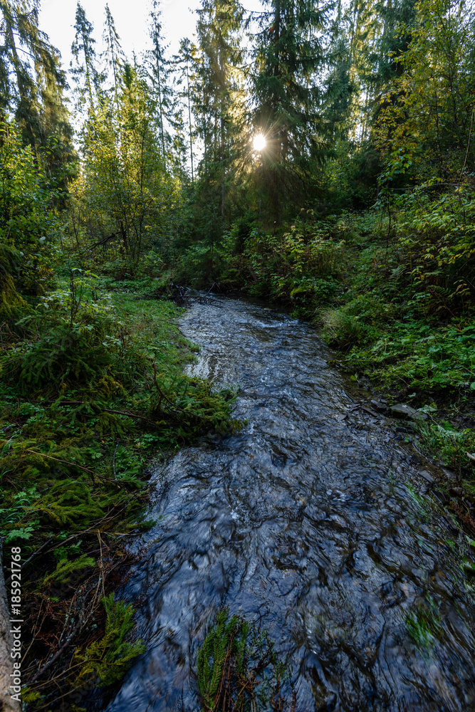 mountain river in summer. Bialka river, Poland mountain river in summer. Bialka river, Poland