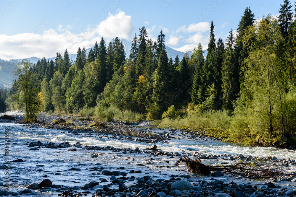 mountain river in summer. Bialka river, Poland mountain river in summer. Bialka river, Poland