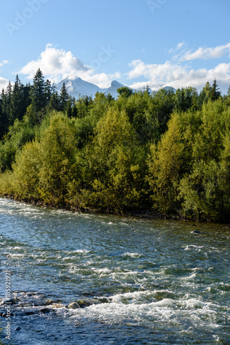 mountain river in summer. Bialka river, Poland