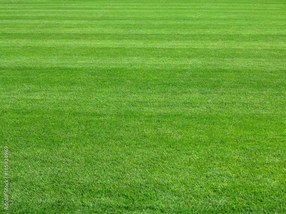 perfect lawn green grass background perfect lawn green grass background