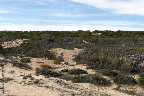 strolling through an area of beach sand dunes