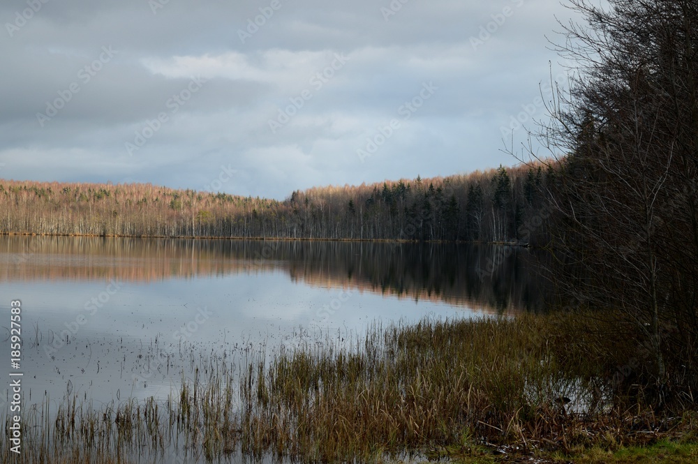 Beautiful lake landscape. The end of autumn - beginning of winter.