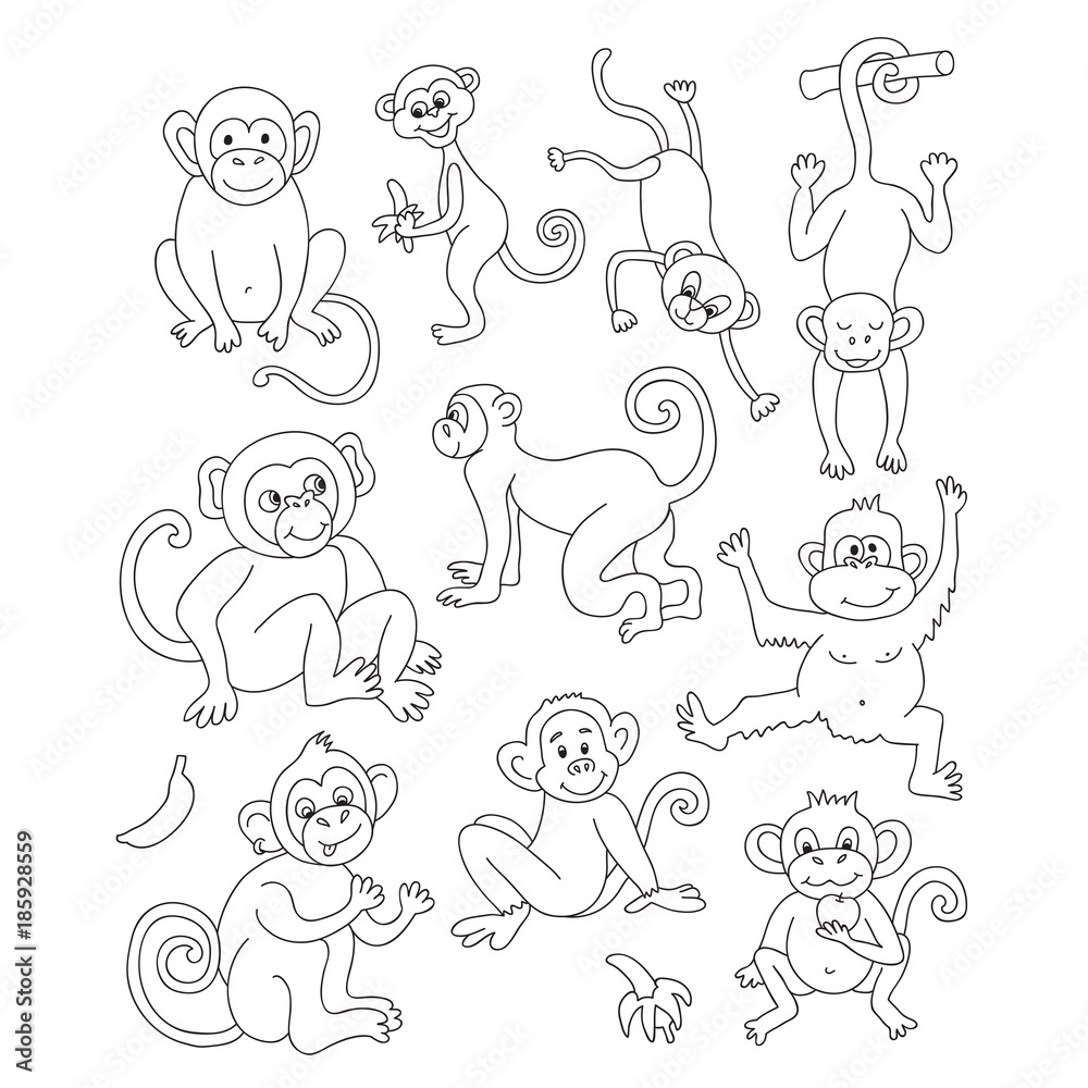 Vector funny monkeys. Vector illustration for your cute design. Vector funny monkeys. Vector illustration for your cute design.