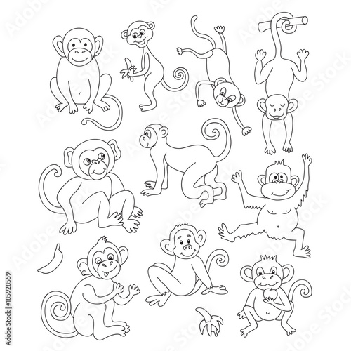 Vector funny monkeys. Vector illustration for your cute design.