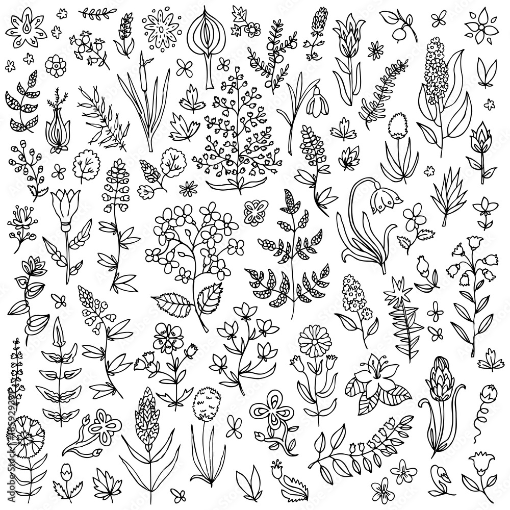 Fototapeta premium Plants and flowers set. Template for style design.