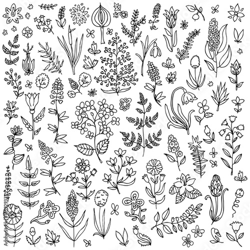Plants and flowers set. Template for style design.