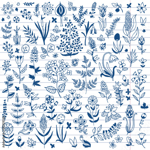 Plants and flowers set. Template for style design.