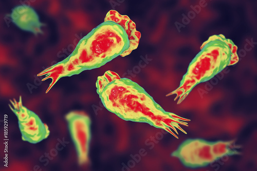 Brain-eating amoeba infection, naegleriasis. Trophozite, infectious form of the parasite Naegleria fowleri, 3D illustration photo