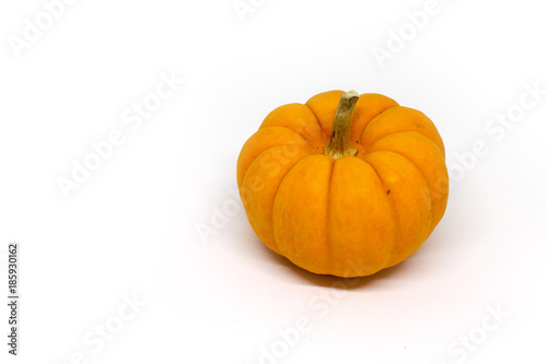 halloween pumpkin jack be little gourd white background 3