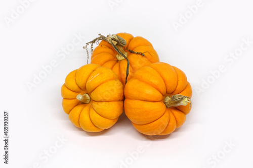 halloween pumpkins jack be little gourds white background 2