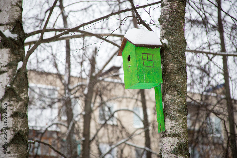 Birdhouse on a tree at the winter