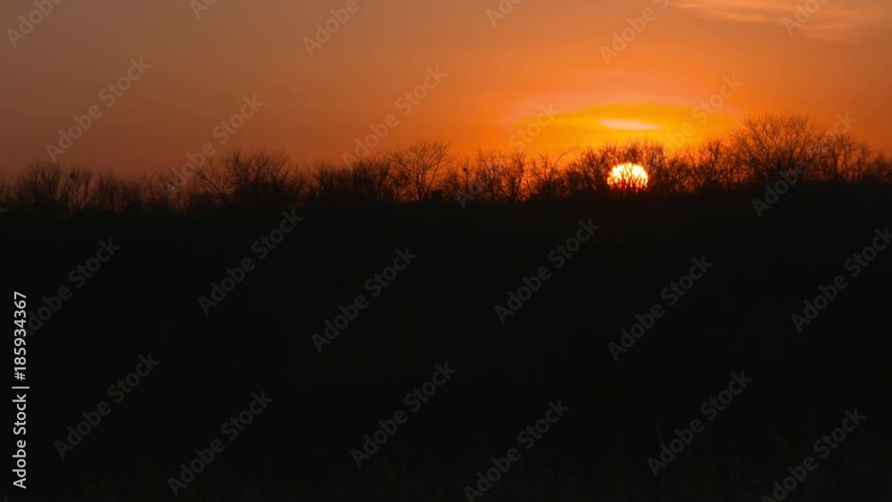 epic sunset behind trees